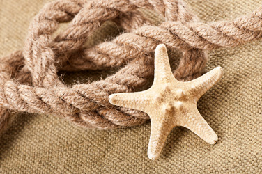 Similar image 10050812