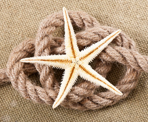 Similar image 10050814