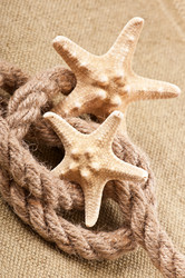 Similar image 10050816