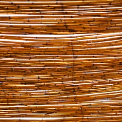 Similar image 10051024