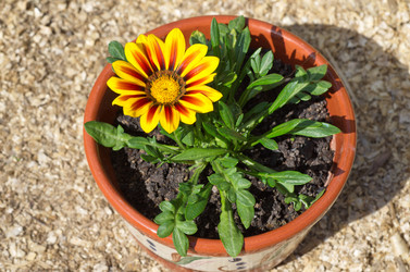 Similar image 10051769