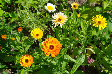 Similar image 10051771