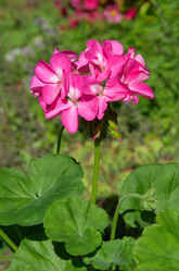 Similar image 10051772