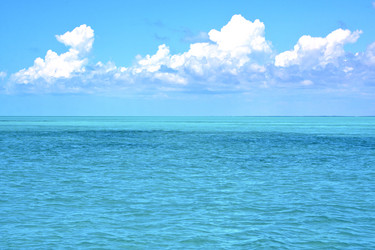 Similar image 10051935