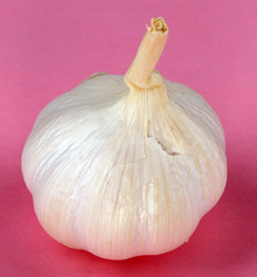 Similar image 10052200