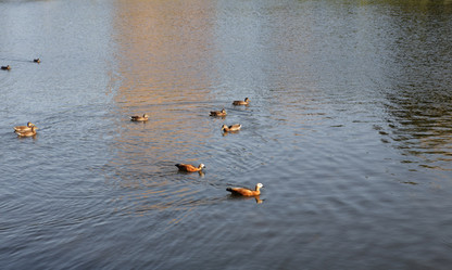 Similar image 10052215