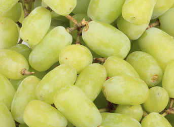 Similar image 10052231