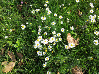 Similar image 10052271