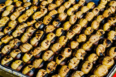 Similar image 10052347