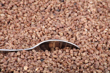 Similar image 10052686