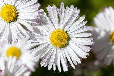 Similar image 10052772