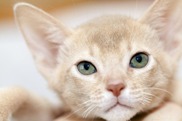 Similar image 10052784