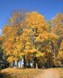 Similar image 10052844