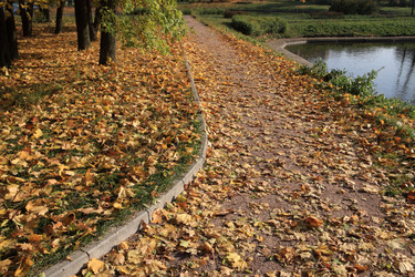 Similar image 10052850