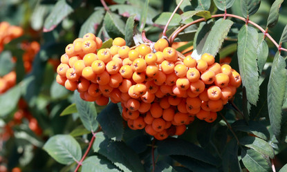 Similar image 10052867