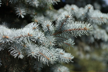 Similar image 10052879