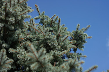 Similar image 10052881