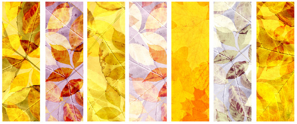 Similar image 10052892