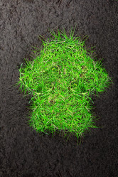 Similar image 10052903