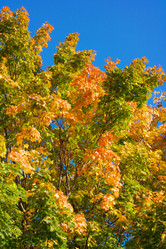 Similar image 10052944