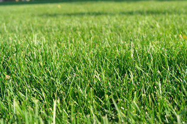 Similar image 10052946