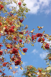 Similar image 10052951