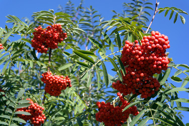 Similar image 10052962