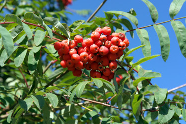 Similar image 10052966