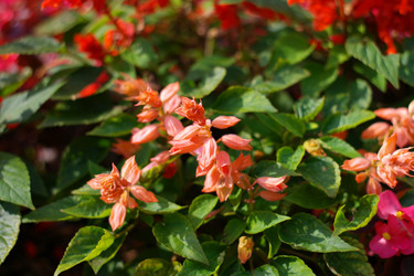 Similar image 10052968