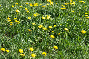 Similar image 10052981