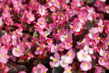 Similar image 10052982