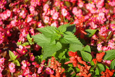 Similar image 10052986