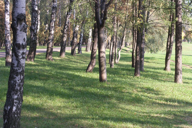 Similar image 10052995