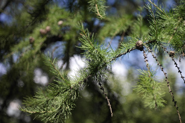 Similar image 10053002