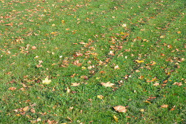 Similar image 10053004