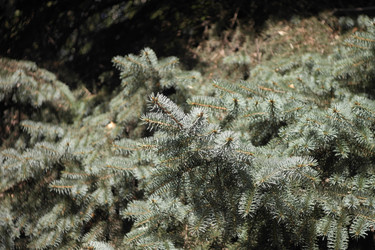 Similar image 10053008