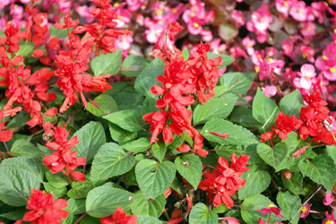 Similar image 10053042