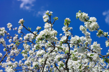 Similar image 10053044