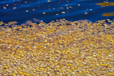 Similar image 10053046