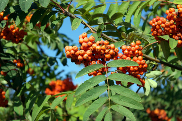 Similar image 10053053