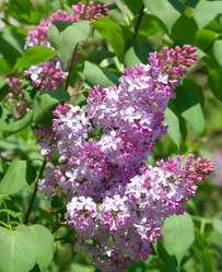 Similar image 10053058