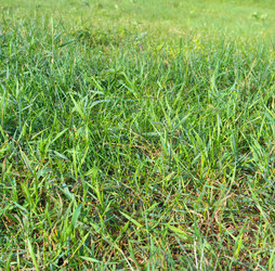 Similar image 10053075