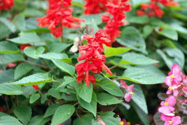 Similar image 10053081