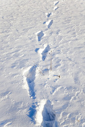 Similar image 10053101