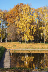 Similar image 10053141