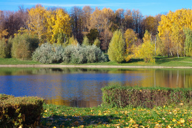 Similar image 10053147