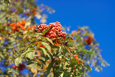 Similar image 10053149