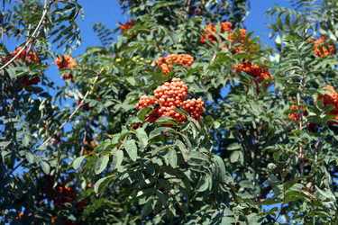 Similar image 10053155