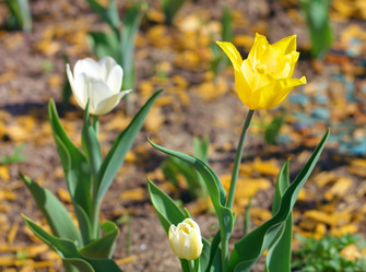 Similar image 10053294