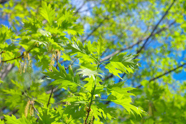 Similar image 10053297